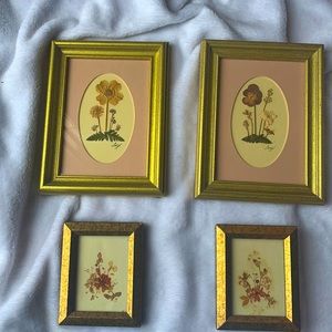 Pressed flowers, framed and matte on two of four in lot